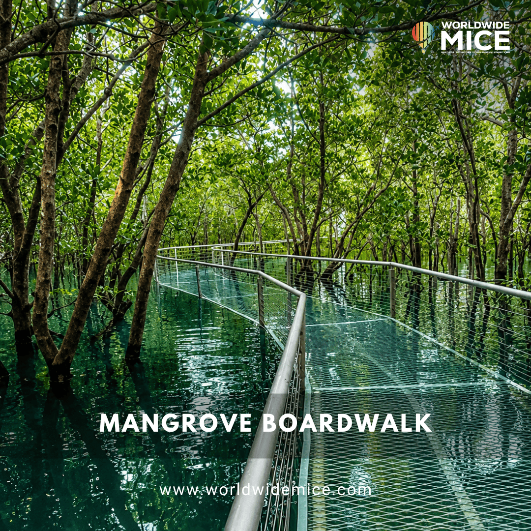 Mangrove Boardwalk